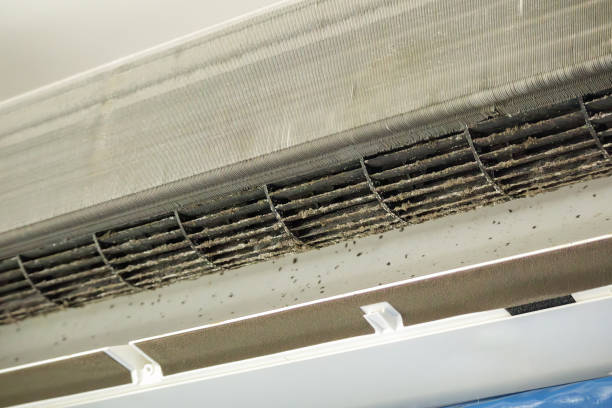 Best Air Duct Cleaning Near Me  in San Joaquin, CA